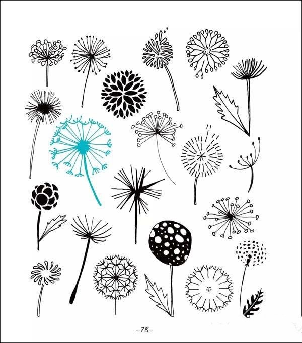 A complete collection of simple drawing pictures of various dandelions