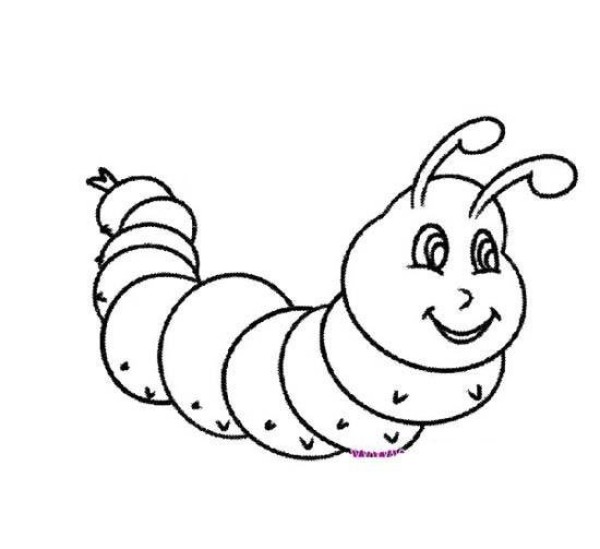 Simple drawing of small caterpillar for children