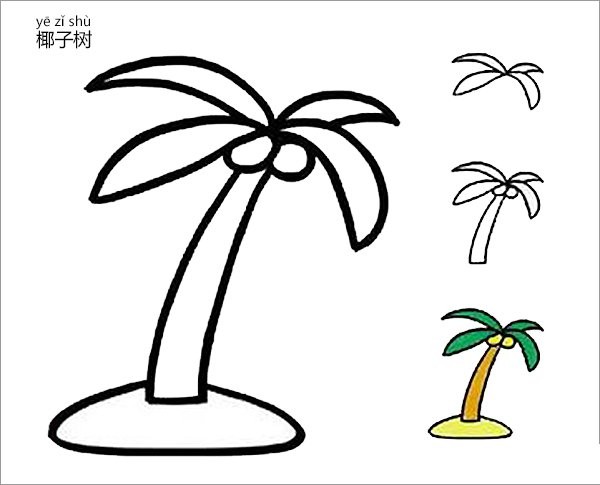 How to draw a coconut tree