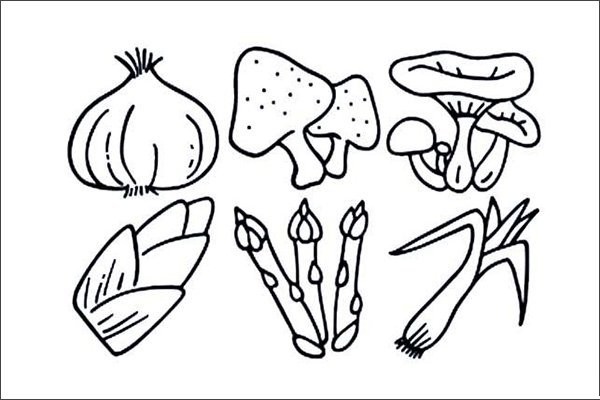 Complete collection of simple strokes of vegetables and fruits