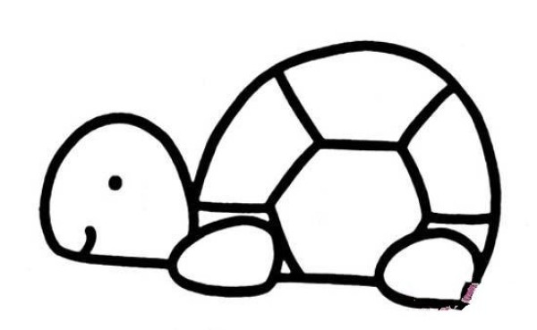 Kindergarten turtle simple strokes