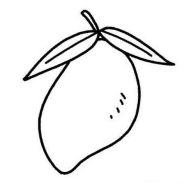 Childrens simple drawing pictures of fruits: Mango