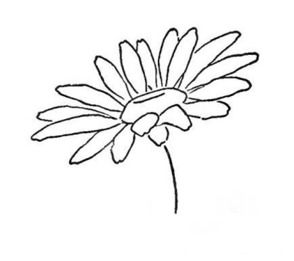 Simple strokes of chrysanthemum