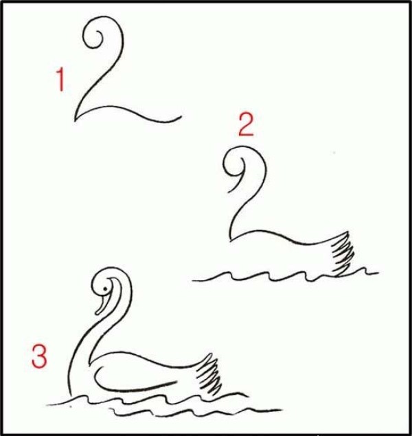 How to draw a simple line drawing of a swan