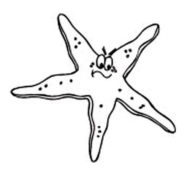 Childrens cartoon starfish simple drawing picture