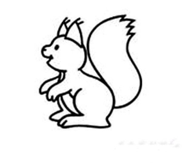 Childrens simple drawing pictures of squirrels