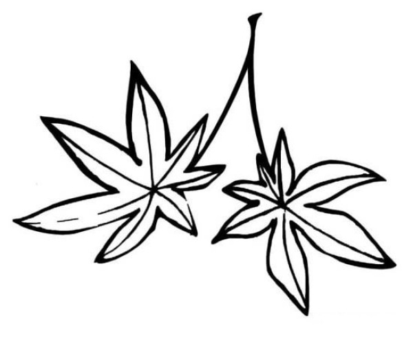 Simple strokes of leaves