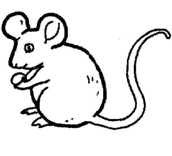 Childrens simple drawing pictures of mice