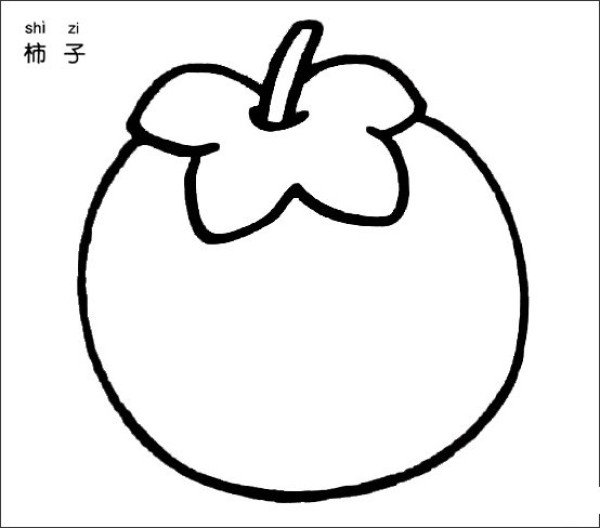 How to draw a persimmon