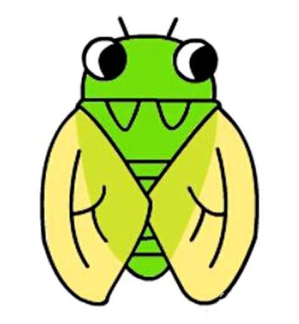 Colorful cicada simple drawing picture