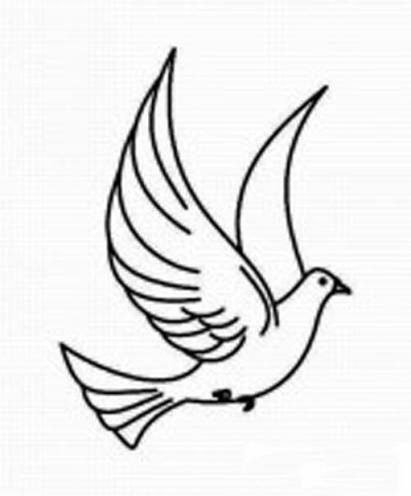 Simple drawing of flying peace dove