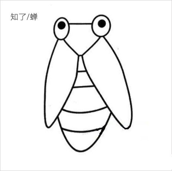 Cicada simple strokes