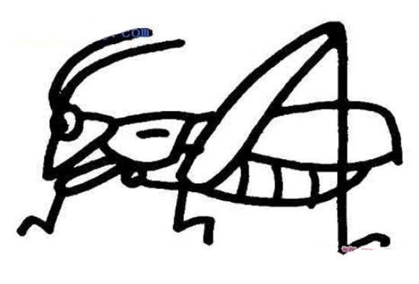 Childrens simple drawing picture of grasshopper