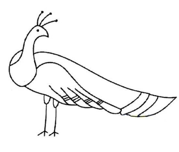 Primary school students' simple drawings of peacocks