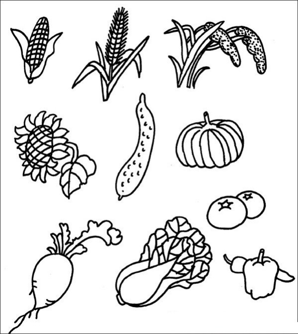 Complete collection of simple strokes of vegetables