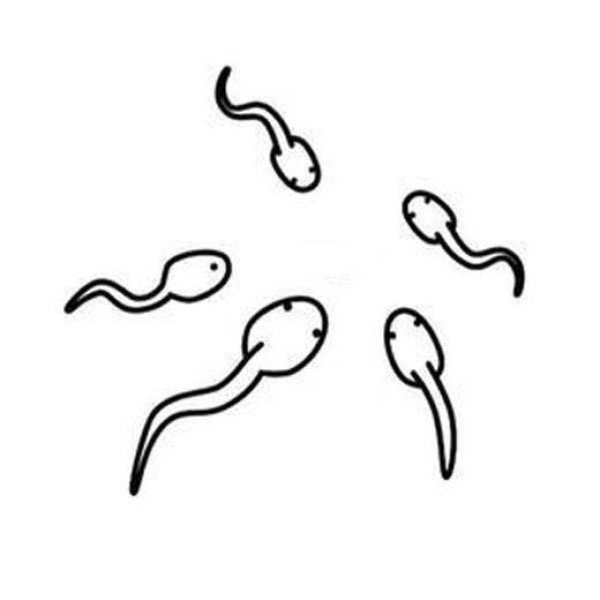 Simple drawing picture of a group of tadpoles