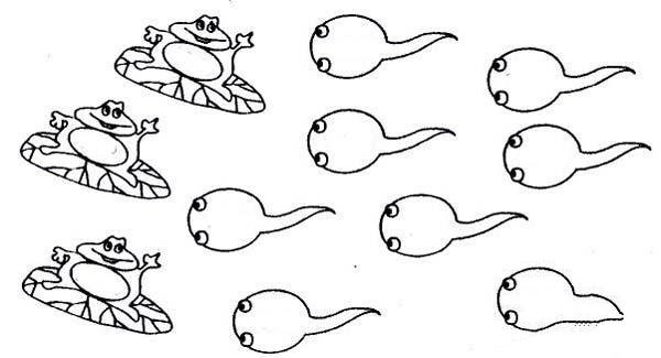 Simple drawing pictures of tadpoles and frogs for children