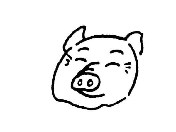 Pig head simple drawing picture