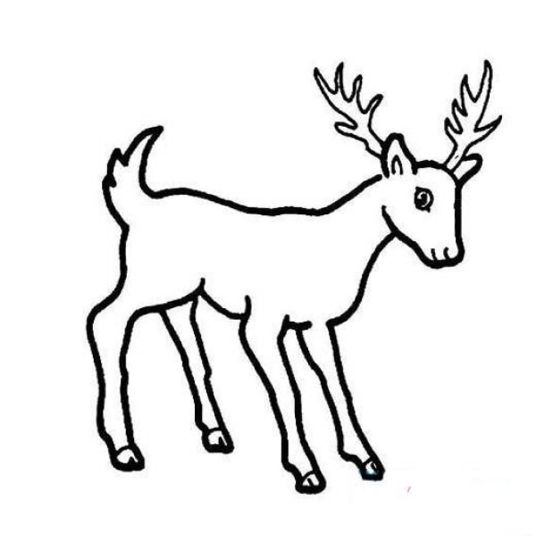 Simple strokes of mountain deer