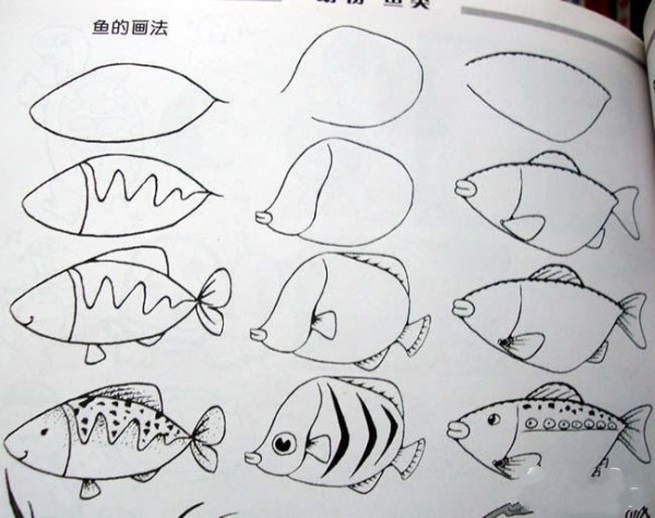 A complete collection of simple drawing methods of various fishes