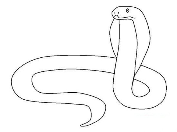 Simple line drawing of cobra