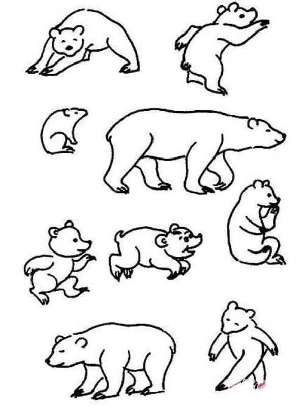 A collection of simple drawing pictures of bears in various postures