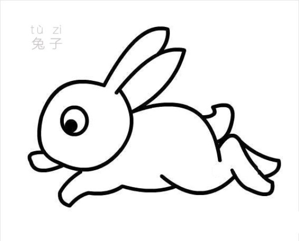 Rabbit simple drawing