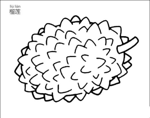 How to draw durian