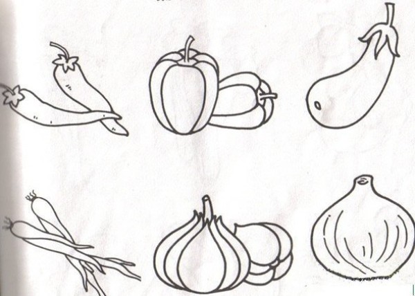 Simple drawings of various vegetables and fruits