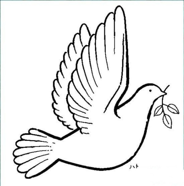 National Flag Peace Dove Simple Drawing Picture