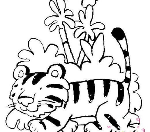 Childrens simple drawing pictures of tigers