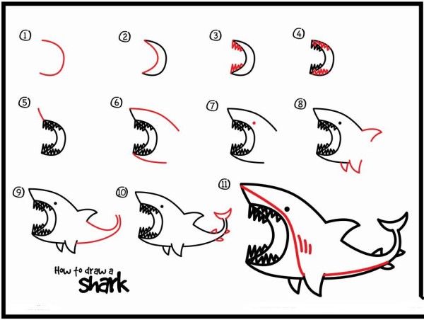 How to Draw a Big Shark Simple Drawing