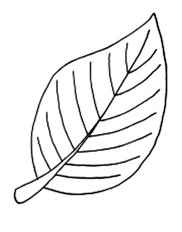 Childrens simple drawing pictures of leaves