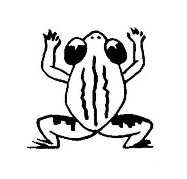 Childrens simple drawing pictures of frogs