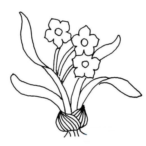 Childrens simple drawing pictures of daffodils