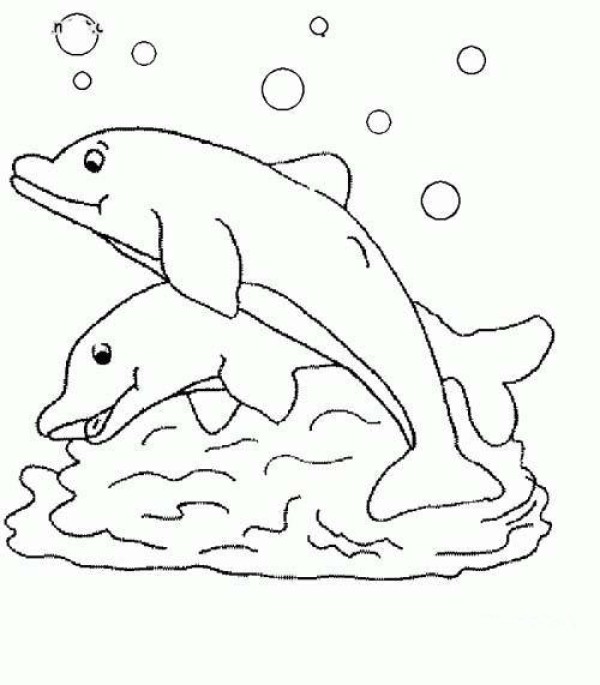 Simple drawing picture of two dolphins playing in the water