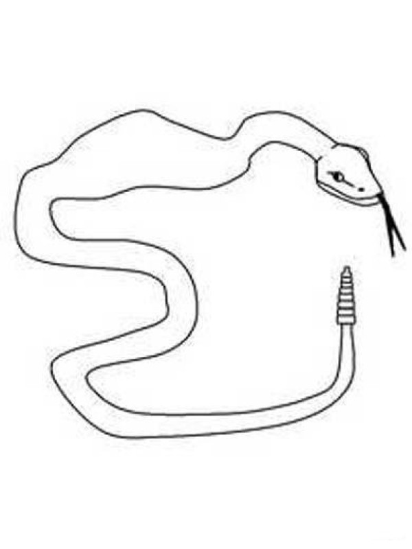 Animal simple drawing: snake