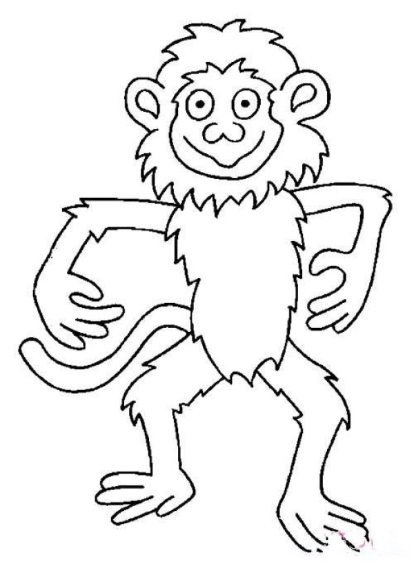 Complete picture of childrens simple strokes of monkeys