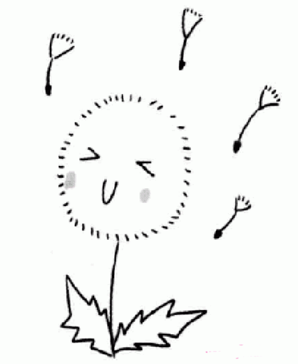 Cute Cartoon Dandelion Simple Drawing Picture