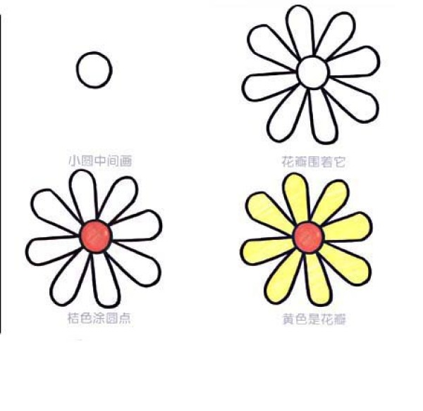 Simple drawing tutorial of chrysanthemum