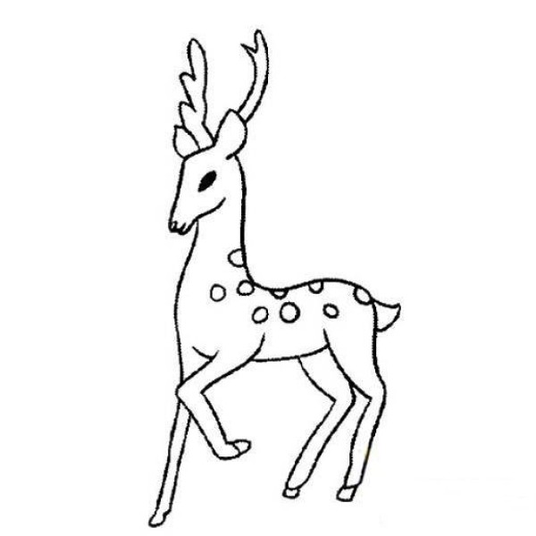 Simple animal drawing pictures for children: Deer