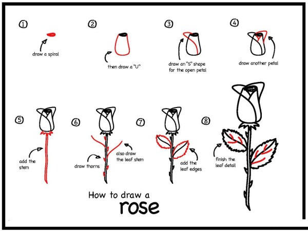 How to draw a rose with simple strokes