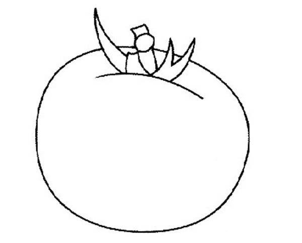 Childrens tomato simple drawing picture