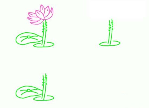 How to draw lotus in simple strokes