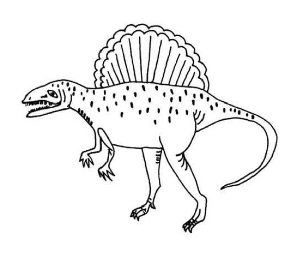 Simple drawing pictures of dinosaurs for primary school students: Spinosaurus