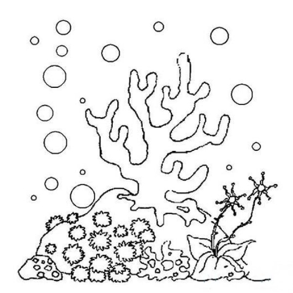 Childrens simple drawing pictures of coral groups