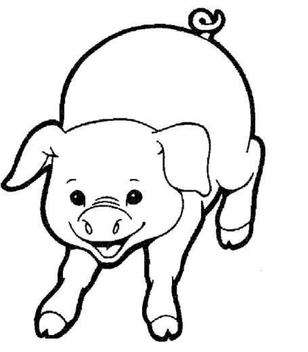 Simple drawings about pigs