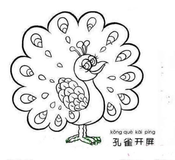 Cute Cartoon Peacock Simple Drawing Picture