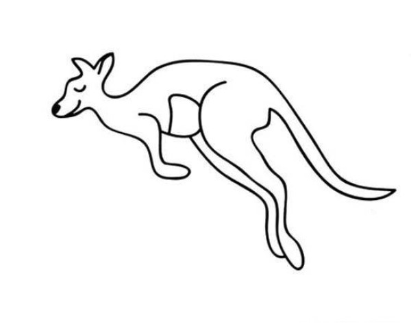 Jumping kangaroo simple drawing picture