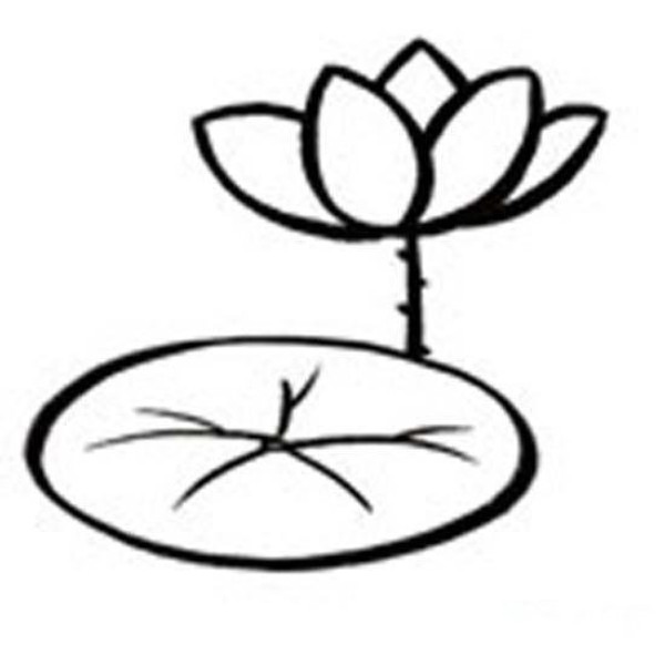 Lotus leaf simple drawing pictures